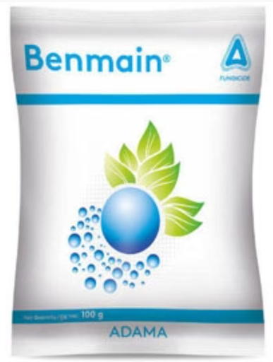 Benmain Fungicide: Powerful Systemic Protection Against Fungal Diseases