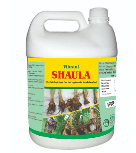 VIBRANT SHAULA