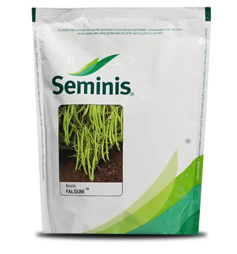 FALGUNI GARDEN BEAN