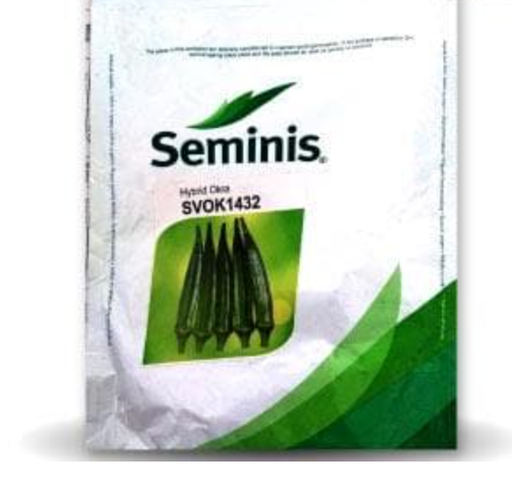 SVOK1432 BHENDI (OKRA) ( एसवीओके1432 भिंडी )