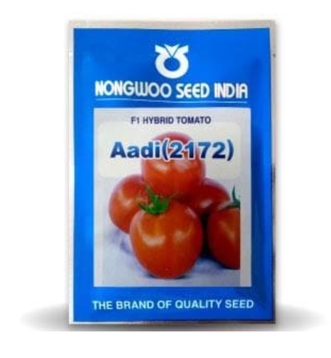 ADI TOMATO (आदी टमाटर) - SEEDS