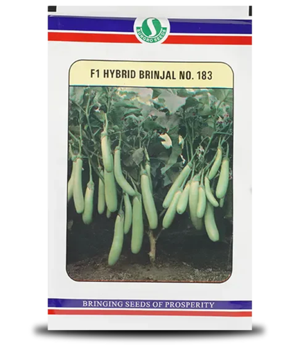 వంకాయ నం. 183 విత్తనాలు