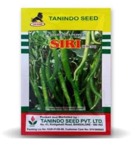 సిరి మిరప