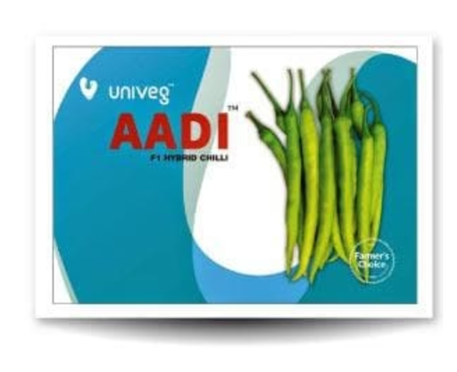 AADI CHILLI SEEDS (आदि )