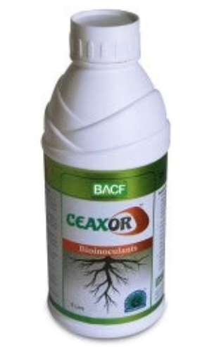 BACF CEAXOR (फंगल रिपेलेंट)