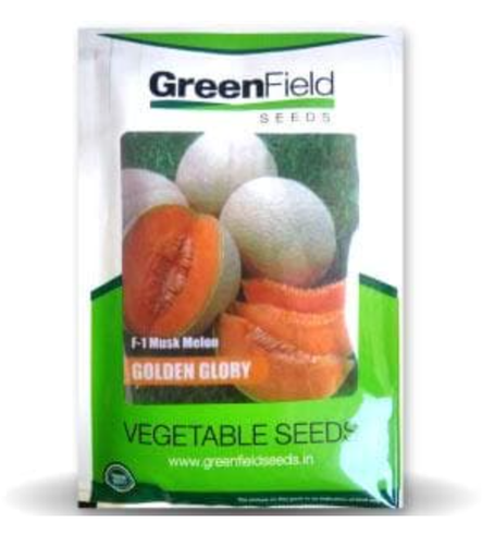 గోల్డెన్ గ్లోరీ ఖర్బుజా