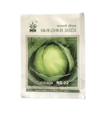 NS 22 Cabbage Seeds