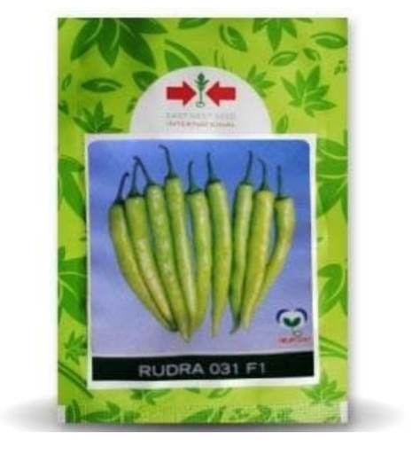 RUDRA CHILLI