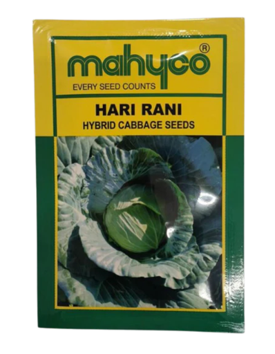 MAHYCO HARI RANI CABBAGE SEEDS