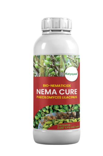 KATYAYANI PAECILOMYCES LILACINUS (BIO NEMATICIDE)