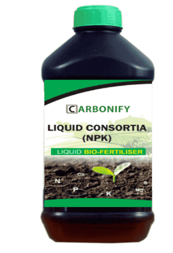 CARBONIFY LIQUID CONSORTIA