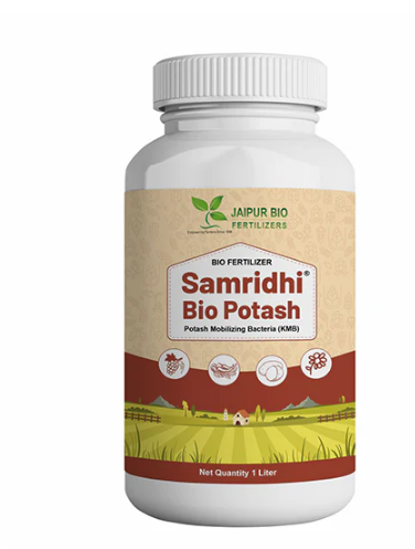Samridhi Bio Potash (Potassium Mobilizing Bacteria - KMB)