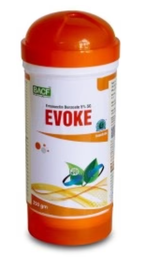 BACF Evoke Insecticide ((Emamectin benzoate 5% SG) – Fast-Acting Caterpillar Control