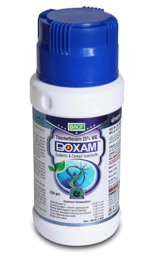 Boxam Insecticide