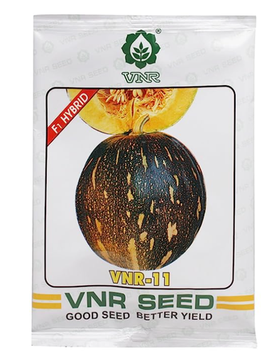 11 F1 Hybrid Pumpkin Seeds