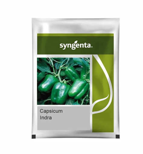 INDRA HYBRID CAPSICUM SEEDS