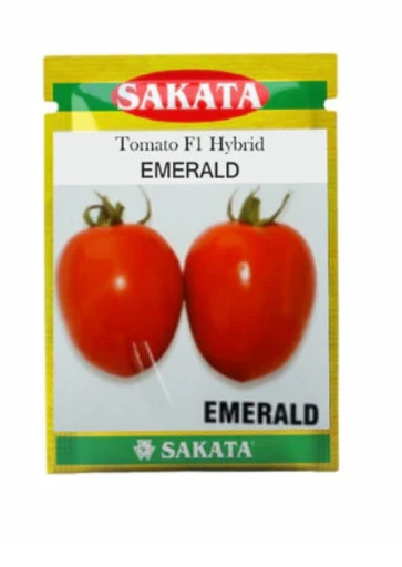 EMERALD TOMATO ( एमराल्ड टमाटर )