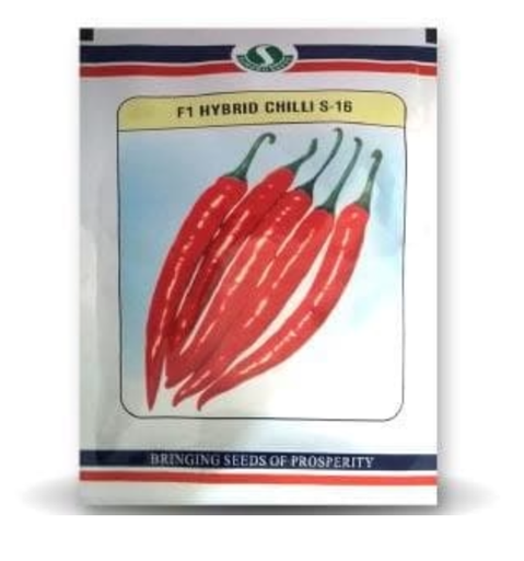 S-16 CHILLI