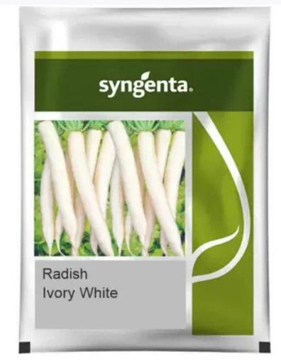 Syngenta Ivory White Radish Seeds