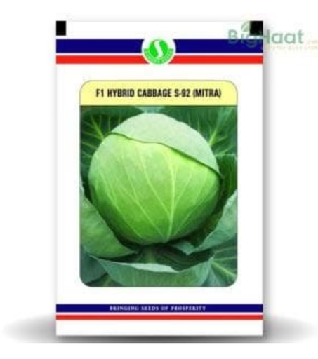 S92 (MITRA) CABBAGE