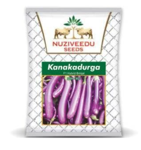 కనకదుర్గ వంకాయ