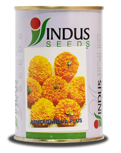 ASHTAGANDHA PLUS MARIGOLD SEEDS, SUITABLE FOR LONG DISTANCE SHIPPING