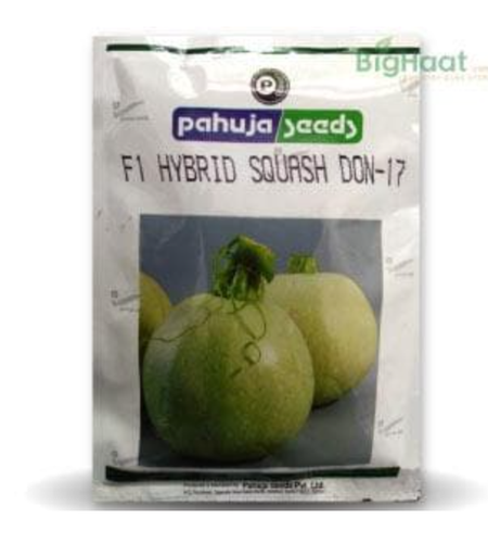 DON 17 SQUASH