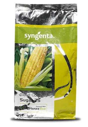 SUGAR 75 SWEET CORN
