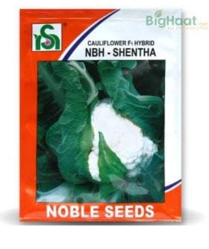 SHENTHA CAULIFLOWER