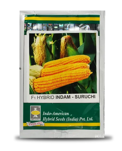 सुरुचि स्वीट कॉर्न