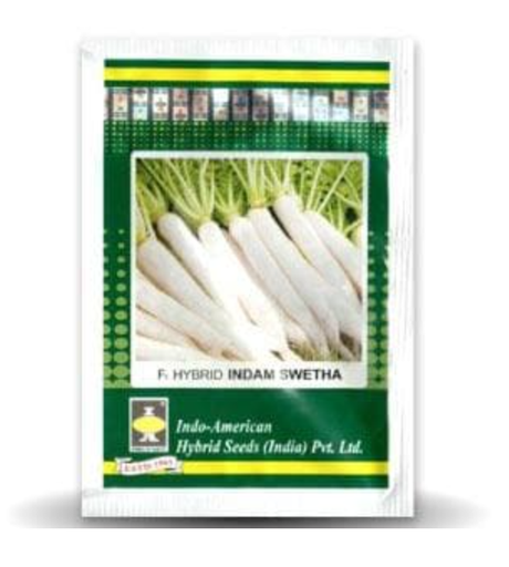 INDAM SWETHA RADISH ( मूली )