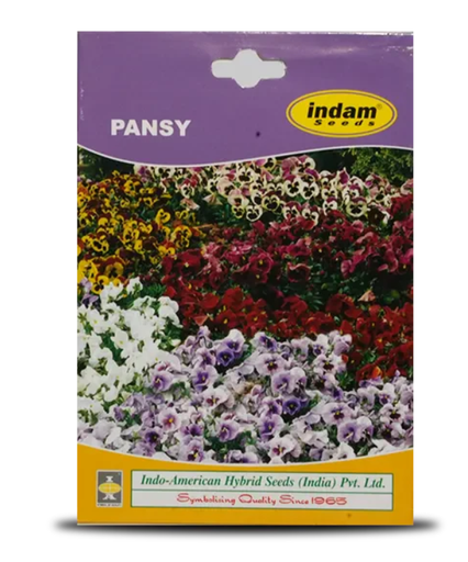 PANSY FLOWER