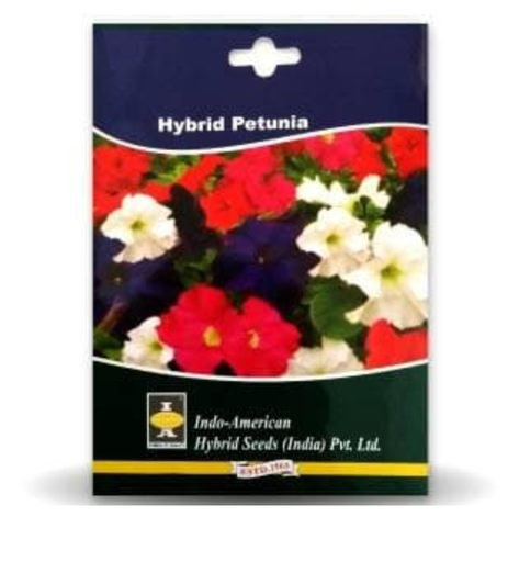 PETUNIA SEEDS