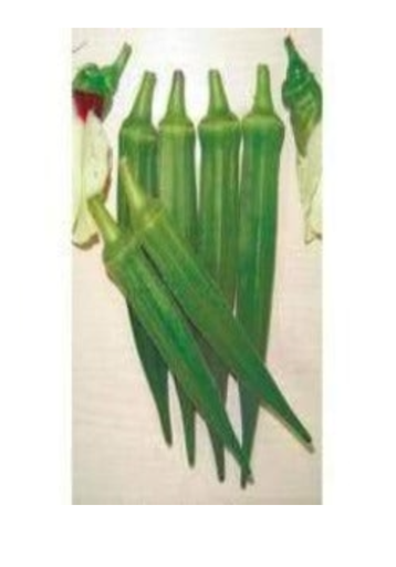 NS 858 BHENDI (OKRA) ( एनएस 858 भिंडी )
