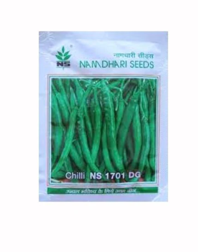 NS 1701 F1 Hybrid DG Chilli Seeds