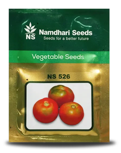 NS 526 F1 Hybrid Tomato Seeds
