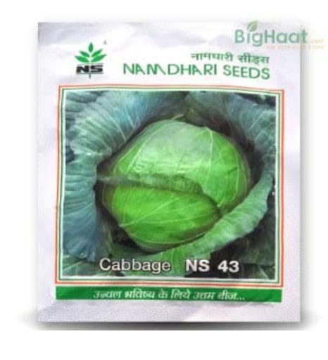NS 43 Cabbage Seeds – High-Yield, Flat Head Hybrid