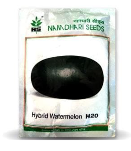 NS 20 పుచ్చకాయ/ తర్భుజా (H 20 పుచ్చకాయ/ తర్భుజా )