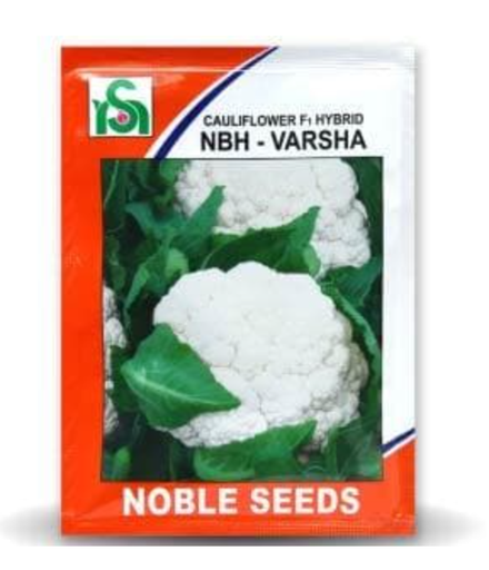 VARSHA CAULIFLOWER