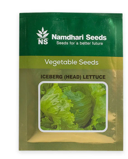 Iceberg head lettuce ns 10005 KGP