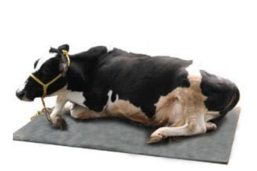 ECOWEALTH RUBBER MAT FOR CATTLES