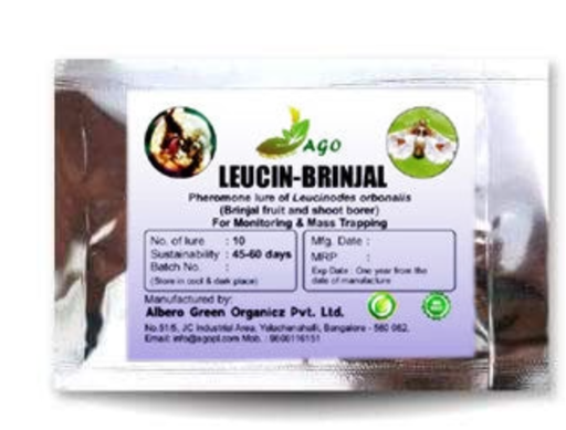 LEUCIN BRINJAL LURE (LEUCINODES ORBONALIS)