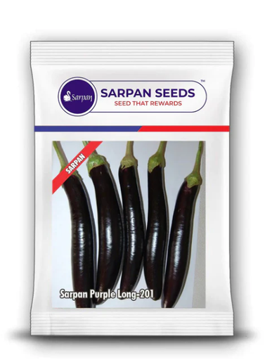SARPAN PURPLE BRINJAL LONG - 201 (SEEDS)