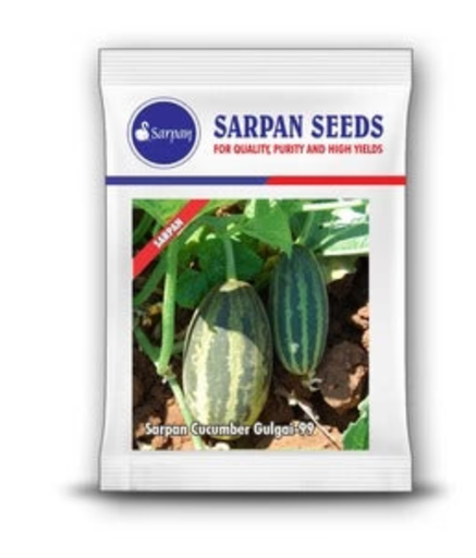 SARPAN CUCUMBER GULGAI - 99 (SEEDS)