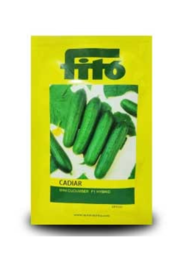 CADIAR MINI CUCUMBER F1 HYBRID