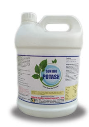 SUN BIO POTASH (BIO FERTILIZER POTASH MOBILIZING BACTERIA)