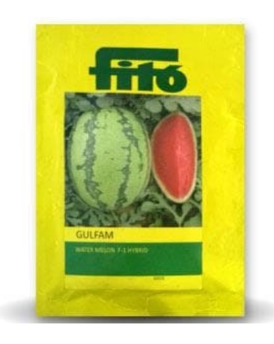 GULFAM WATERMELON