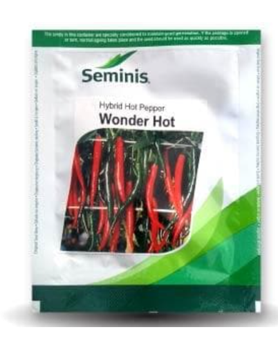 WONDER HOT CHILLI