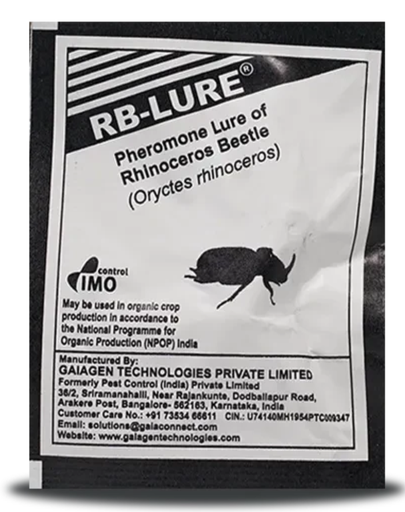 RHINOCEROS BEETLE LURE | Pest Control India