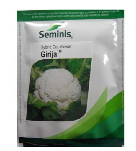 GIRIJA CAULIFLOWER SEEDS